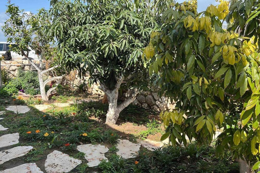 אחוזת היניבים Yaniv Estate Villa Nurit Екстериор снимка