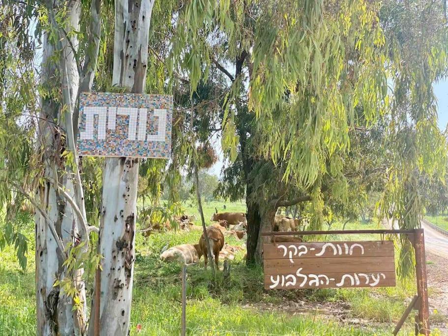 אחוזת היניבים Yaniv Estate Villa Nurit Екстериор снимка